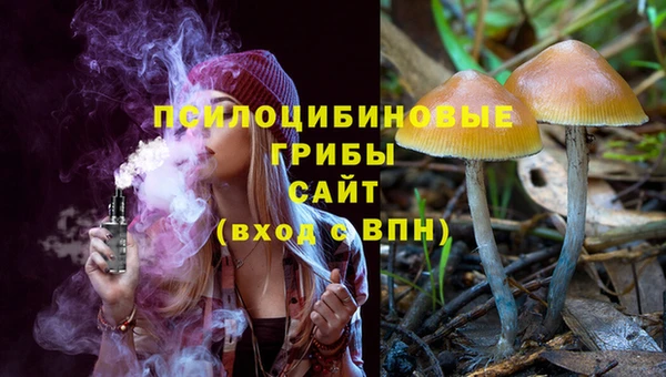 тгк Вязьма